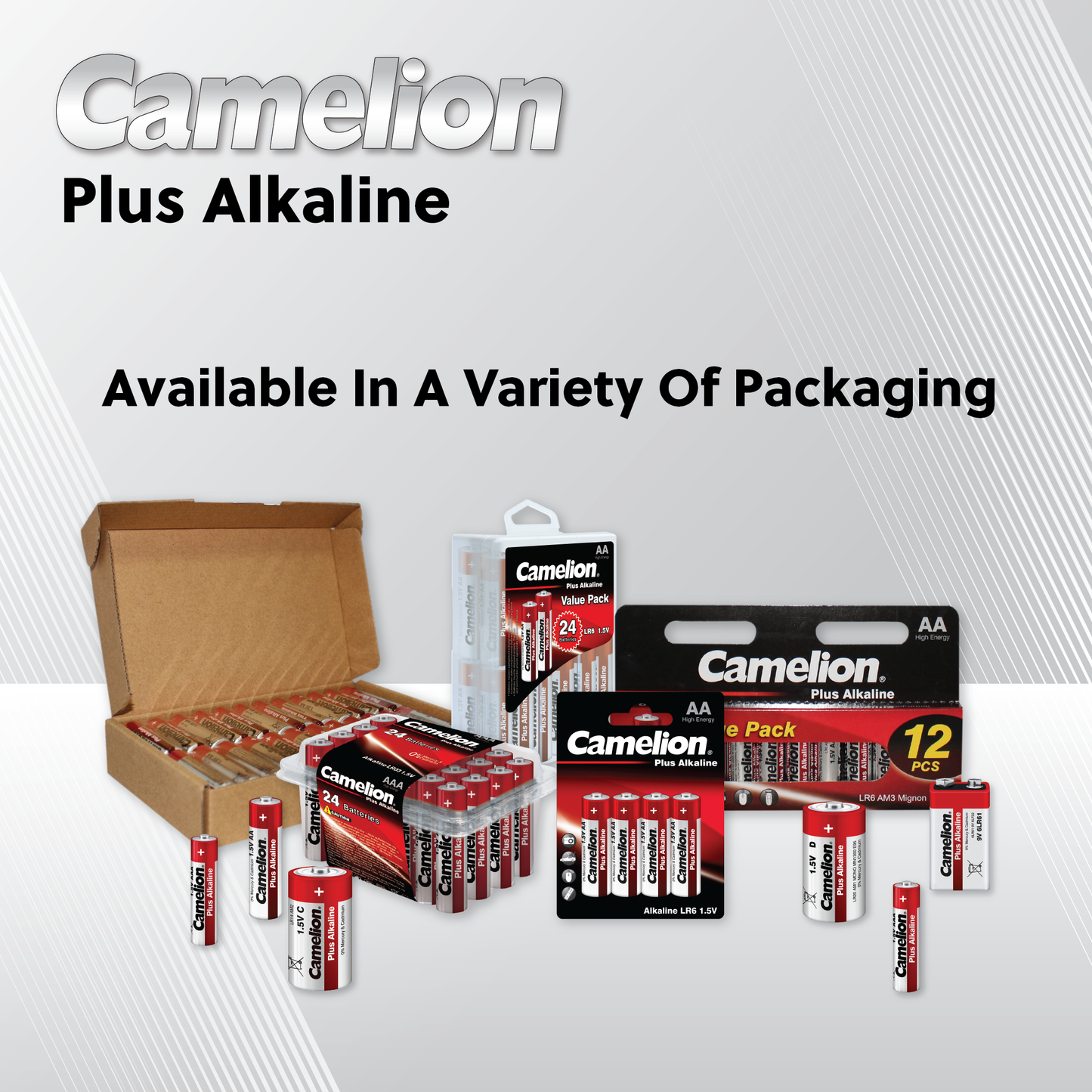 Camelion AA Plus Alkaline 24 Pack Plastic Tub